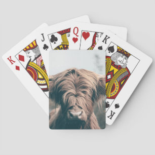 Hochlandkuhportrait Spielkarten