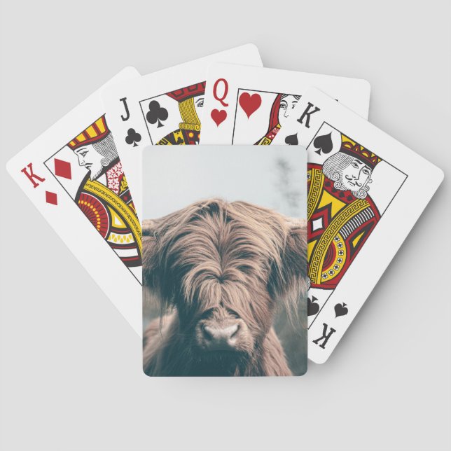 Hochlandkuhportrait Spielkarten (Rückseite)