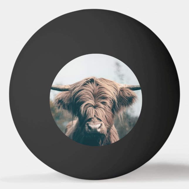Hochlandkuhportrait Tischtennisball (Vorderseite)