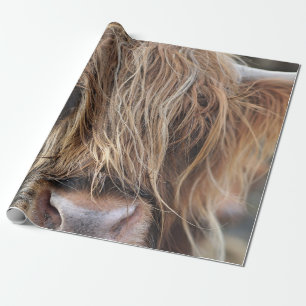 HOCHLANDRIND-KUHGEICHT GESCHENKPAPIER