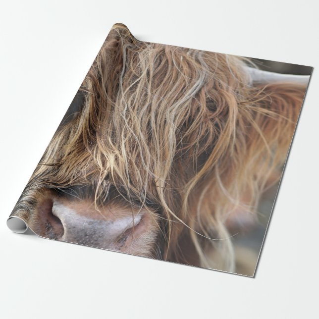 HOCHLANDRIND-KUHGEICHT GESCHENKPAPIER (Ungerollt)