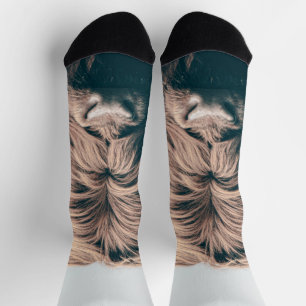 Hochlandrind-Porträt Socken