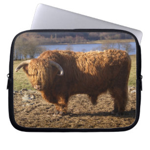 Hochlandrindbulle, Schottland Laptopschutzhülle