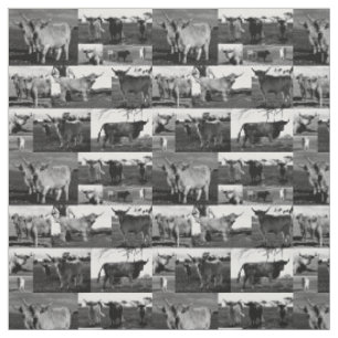 Hochlandrinder-Fotocollage in Schwarz-Weiß, Stoff