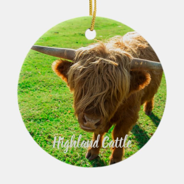 Hochlandrinder für Tier- und Nutztiere Keramik Ornament (Vorne)
