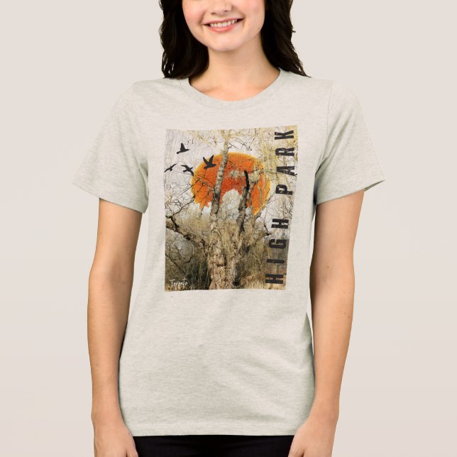Hochpark Toronto Iconi Sehenswürdigkeit Tri-Blend Shirt (Vorderseite)