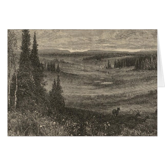 Hochplateaus (Vorderseite (Horizontal))