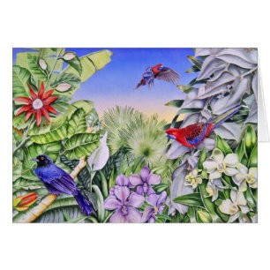 hochrote rosellas