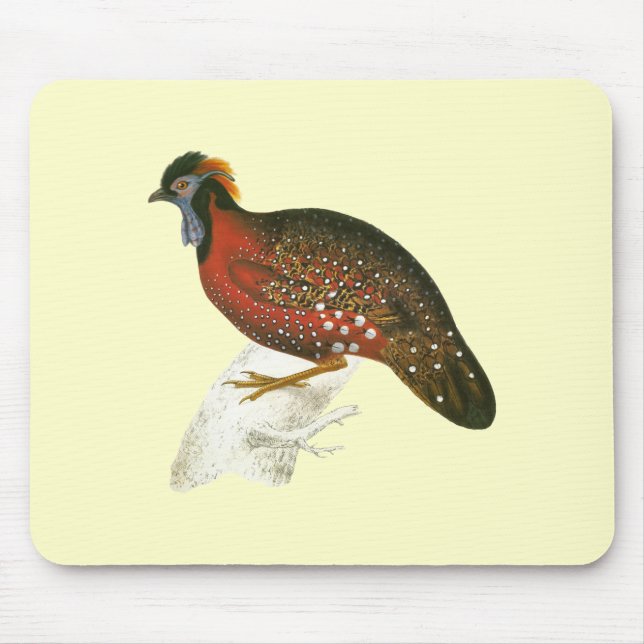 Hochroter gehörnter Fasan Mousepad (Vorne)