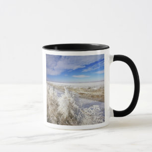 Höchste Mäntel, Wulst und Fencelin in der Nähe Tasse