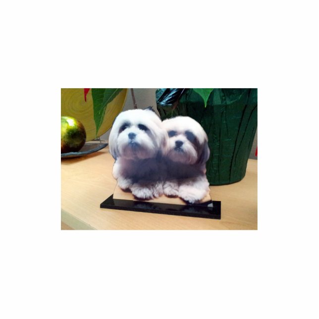 Hochwertige kundenspezifische AcrylFoto-Skulptur Freistehende Fotoskulptur (Vorne)