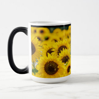 Hochwertige Sonnenblume Tasse