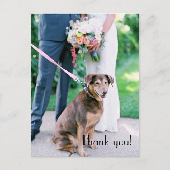 Hochzeit Danke Post Card Postkarte (Vorderseite)