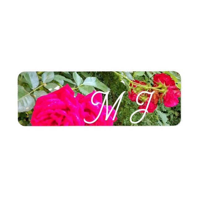 Hochzeit mit roten Rosen Foto (Vorne)
