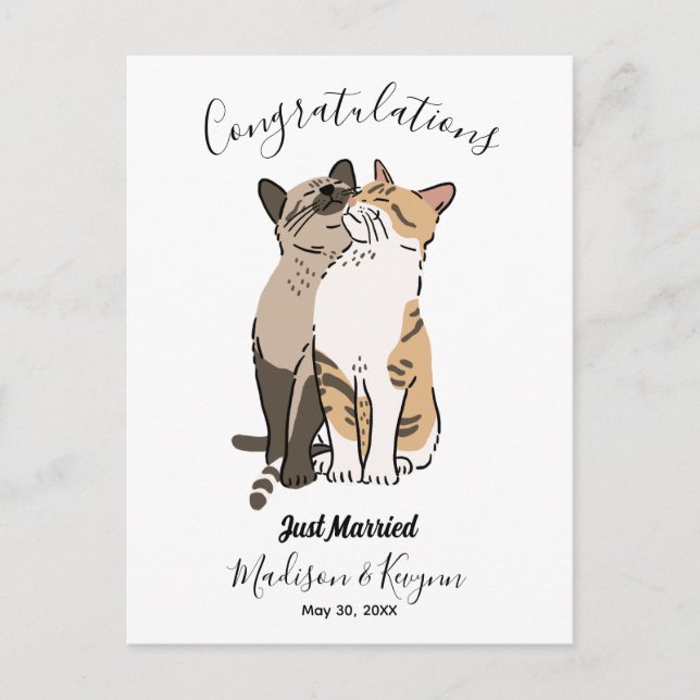Hochzeit niedlicher Katzen Postkarte (Vorderseite)