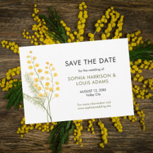 Hochzeit niedlicher Mimosa-Blume