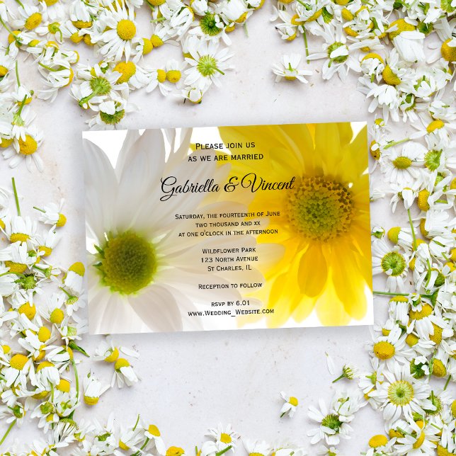 Hochzeit von Gelb und Weiß Einladung (Invite guests to your summery marriage with the pretty Yellow and White Daisies Wedding Invitation.)