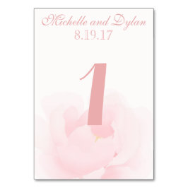 Hochzeit von Watercolor Light Pink Peony Tischnummer