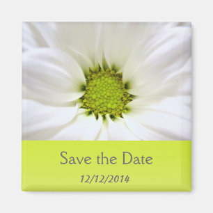 Hochzeiten in weißer Blume Magnet