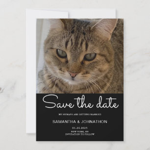 HochzeitkatzenFoto Save The Date