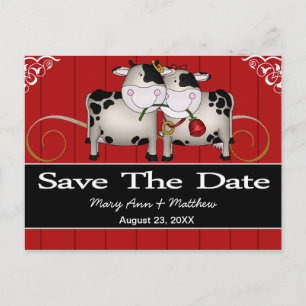 Hochzeitkühe Save the Date Postkarte