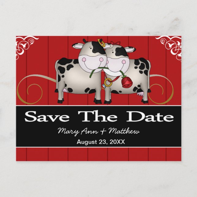 Hochzeitkühe Save the Date Postkarte (Vorderseite)