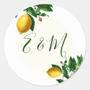 Hochzeitlemon Botanische einfache Monogramm Sommer Runder Aufkleber