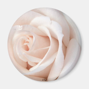Hochzeits-Rose Magnet