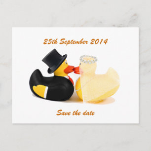 Hochzeitsenten 2 ... Postkarte
