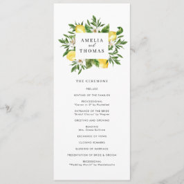 Hochzeitsfeier für Wasserfarben und Zitronen Programm