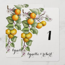 Hochzeitsfeier mit Obst und Blumenwasser - Tischnu