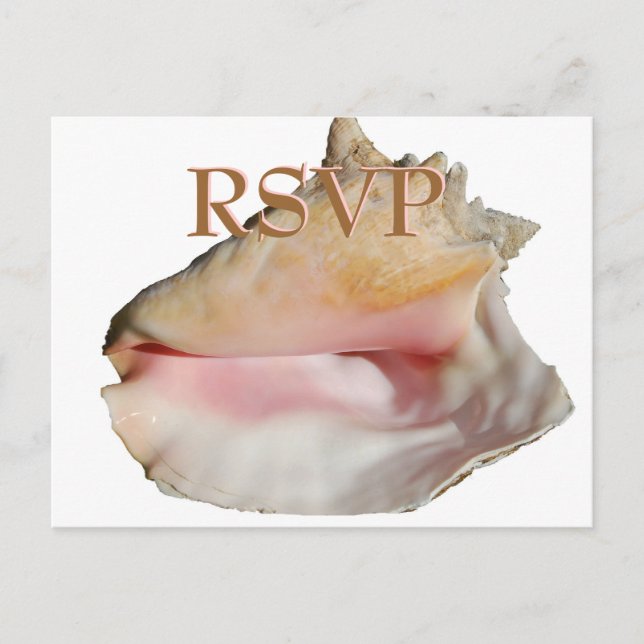 Hochzeitsgäste UAWG Conch Seashell Einladungspostkarte (Vorderseite)