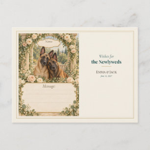 Hochzeitsgästebuch-Wünsche für Belgische Malinois Postkarte
