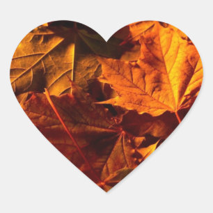 Hochzeitshörer-Herbstlaub Hochzeitseinladung Herz-Aufkleber