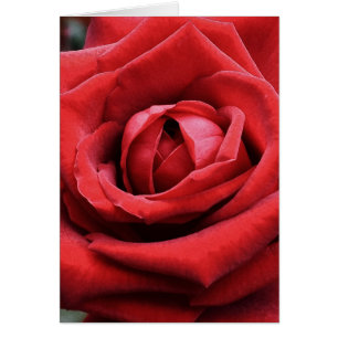 Hochzeitskarte "Lebensreise"