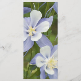 Hochzeitsprogramm für Blue Columbine Blume Programm