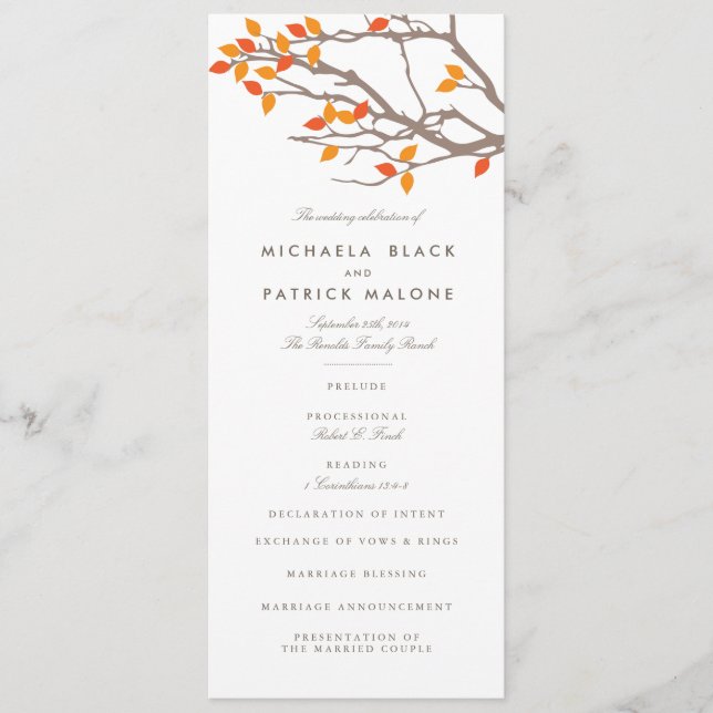 Hochzeitsprogramm für glanzvolle Branchen Programm (Vorderseite)