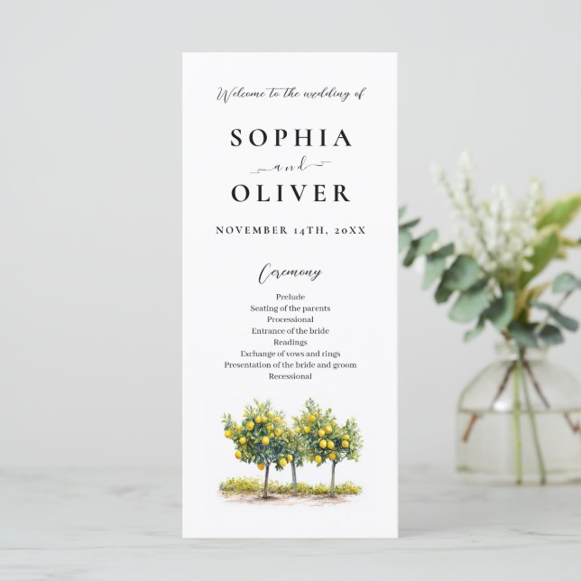 Hochzeitsprogramm für Lemon-Wasserfarben (Stehend Vorderseite)
