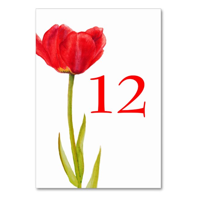 Hochzeitsrot-Tulpe-Blume, weiße Tischnummern (Rückseite)