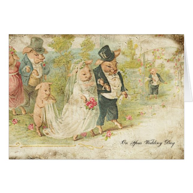 Hochzeitsschweine (Vorderseite (Horizontal))
