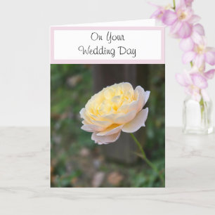 Hochzeitstag wünscht rosa Gelbe Rose Karte