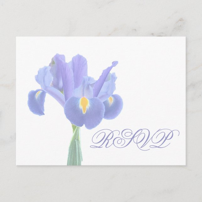Hochzeitstichtag RSVP Iris Postkarten (Vorderseite)