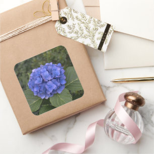 Hochzeitsticker Blue Hydrangea-Blume Quadratischer Aufkleber