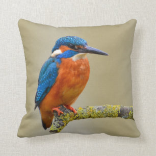 Hockender Eisvogel Kissen
