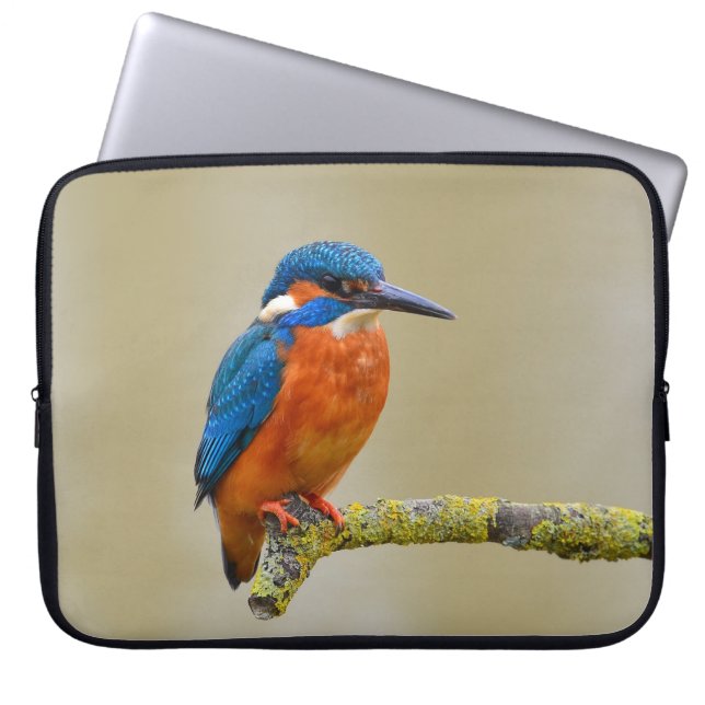 Hockender Eisvogel Laptopschutzhülle (Vorderseite)