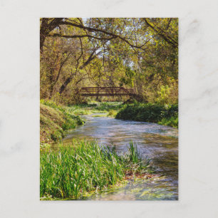 Hodgson Spring Flow Postcard Postkarte