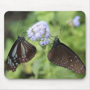 Hodokubo, Hino, Tokio, Japan 3 Mousepad