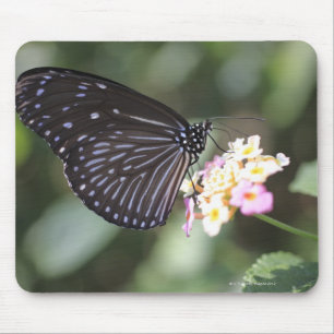 Hodokubo, Hino, Tokyo, Japan 5 Mousepad