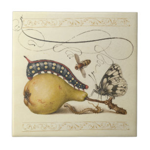 Hoefnagel Vintage Birne & Insekten 1500er Renaissa Fliese