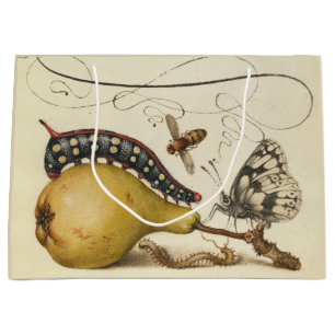 Hoefnagel Vintage Birne & Insekten 1500er Renaissa Große Geschenktüte
